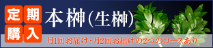 本榊（生榊）1対の定期購入