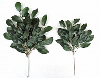 造花榊葉