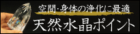 ミニポイント