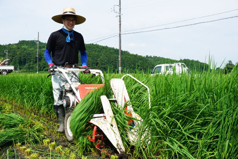 SDGS取り組みの様子