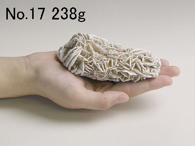 砂漠のバラ