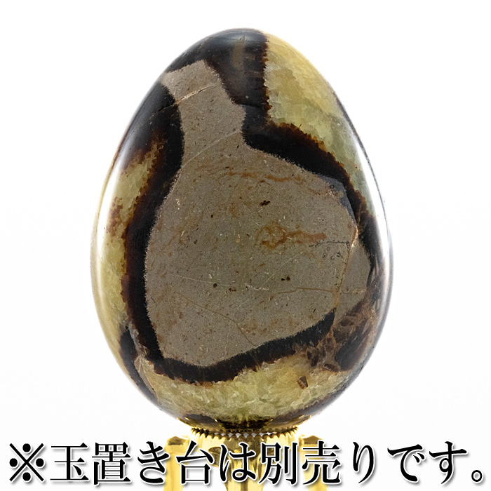 セプタリアン 卵型