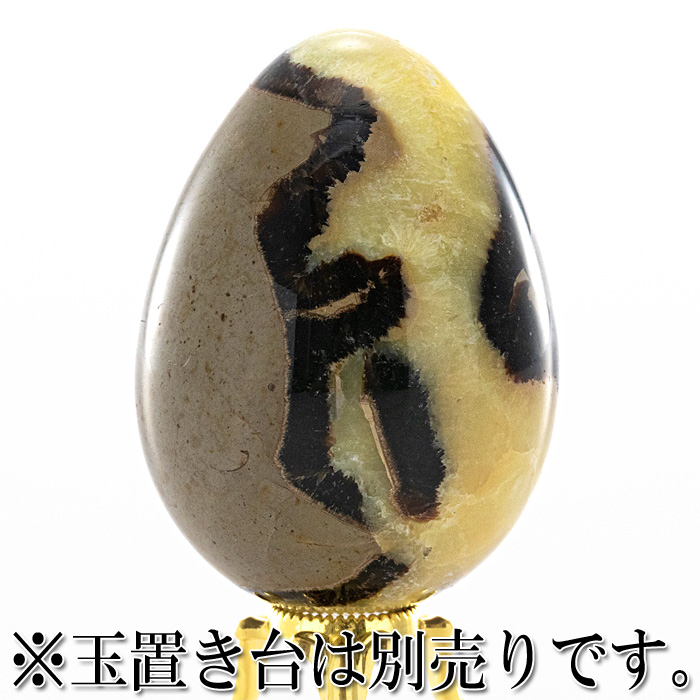 セプタリアン 卵型