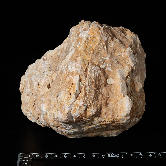 水晶 ジオード(晶洞)