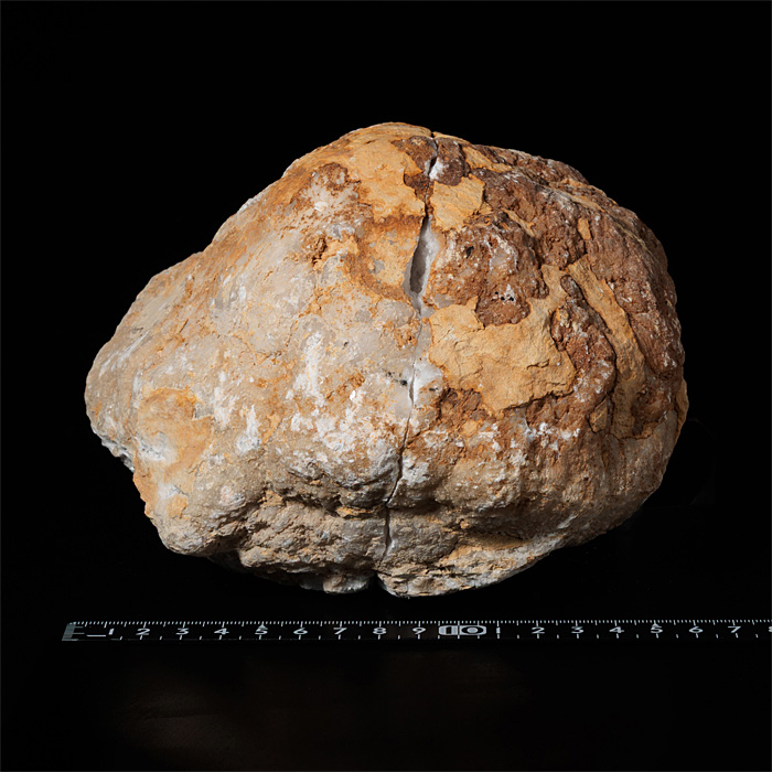 水晶 ジオード（晶洞）