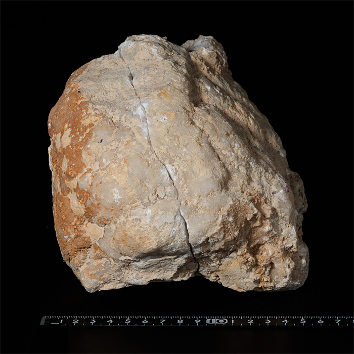 水晶 ジオード（晶洞）