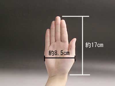 手の大きさ
