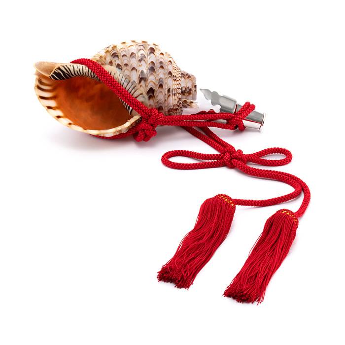 法螺貝（ほら貝） 12インチ