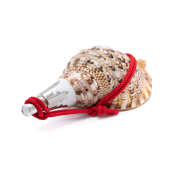 法螺貝（ほら貝） 12インチ