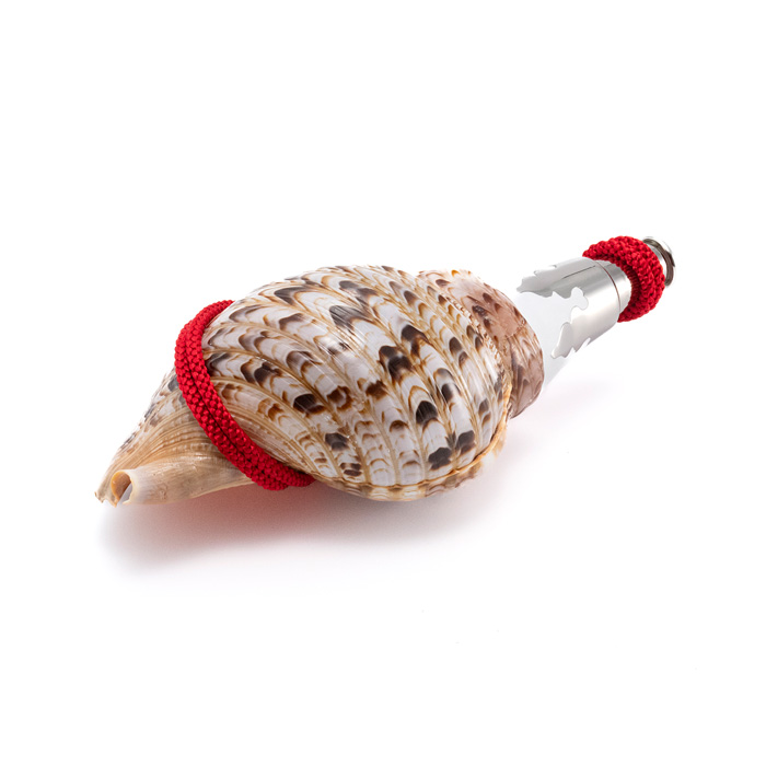 法螺貝（ほら貝） 12インチ