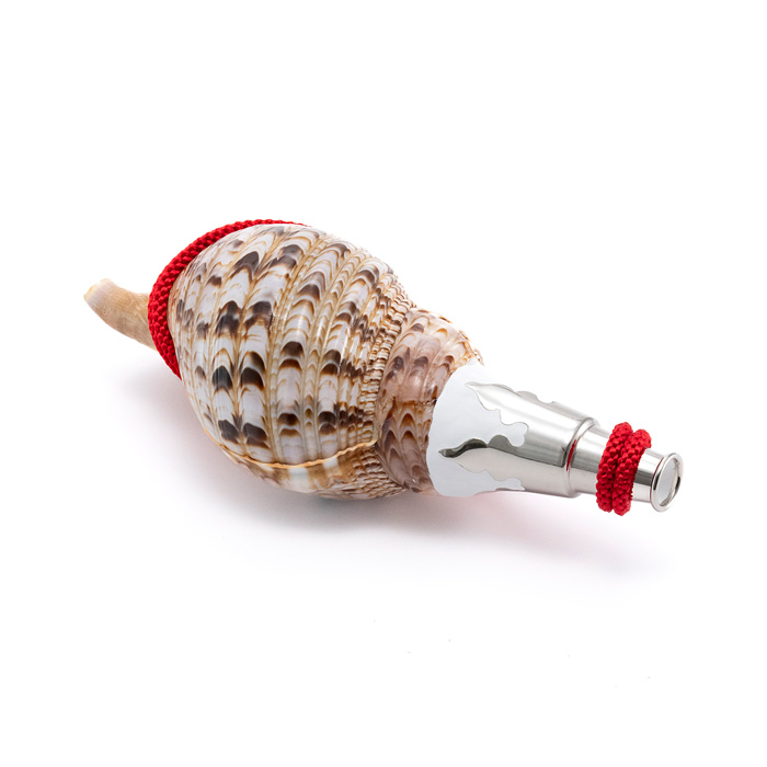 法螺貝（ほら貝） 12インチ