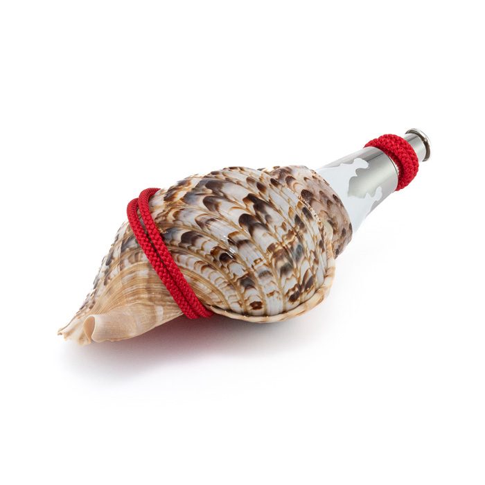 法螺貝（ほら貝） 13インチ