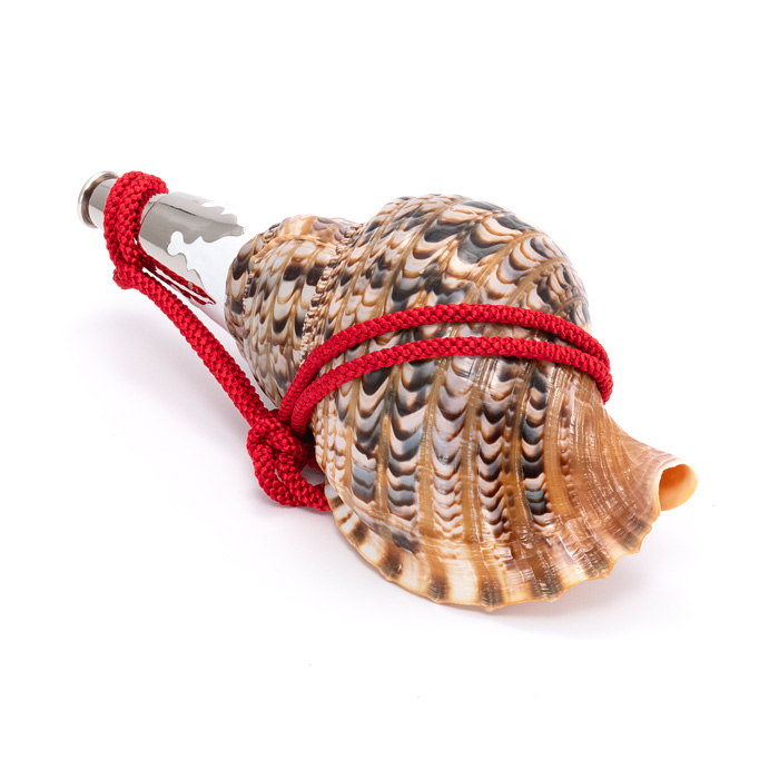 法螺貝(ほら貝) 13インチ