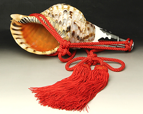 ほら貝 法螺貝 ホラ貝