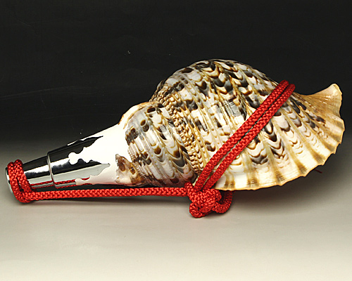 ほら貝 法螺貝 ホラ貝