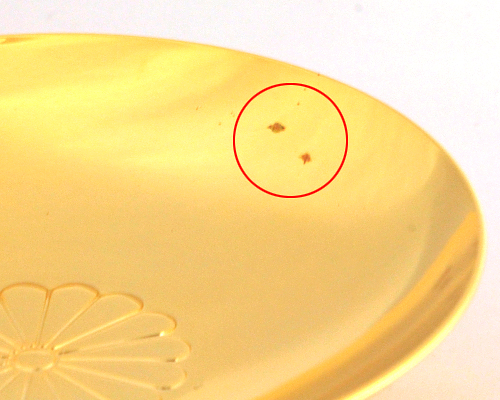 金盃 KGP 大 菊紋