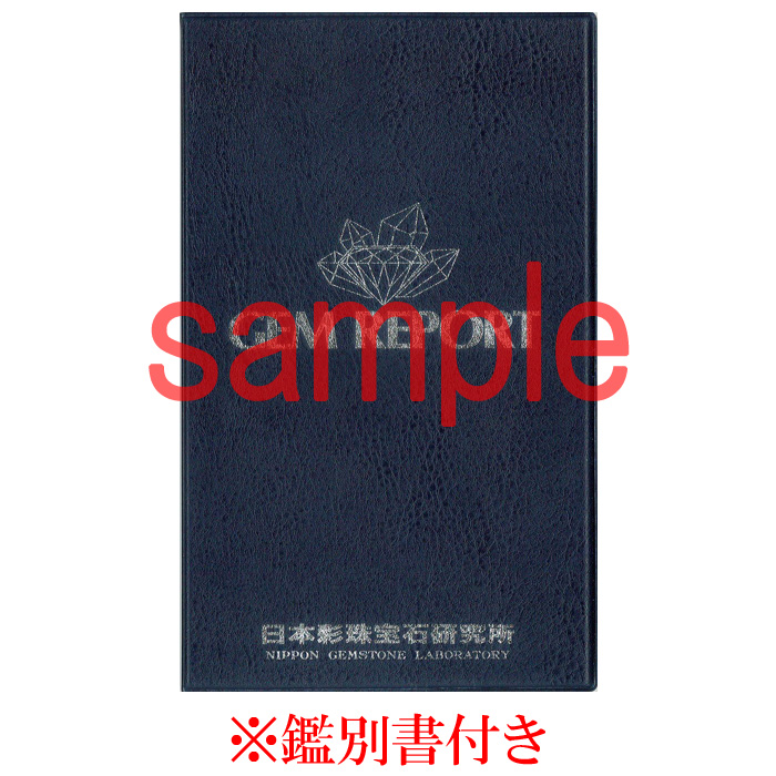 セイムチャン隕石 鑑別書