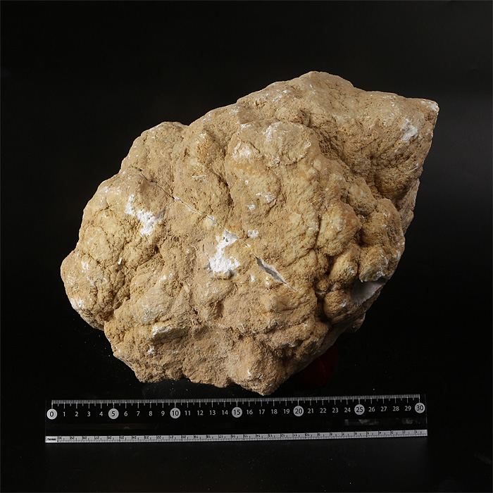 水晶 ジオード(晶洞)