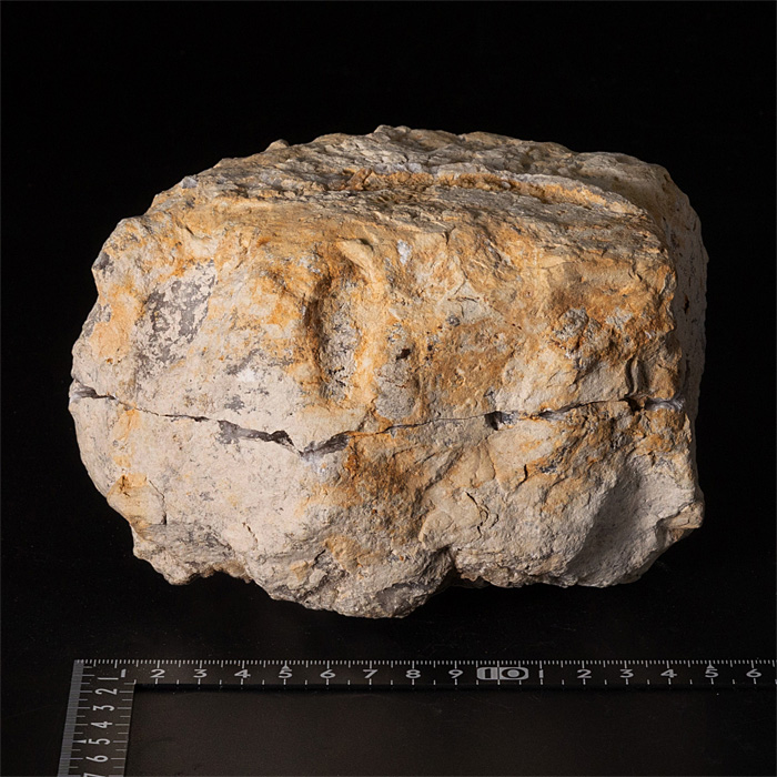 水晶 ジオード(晶洞)