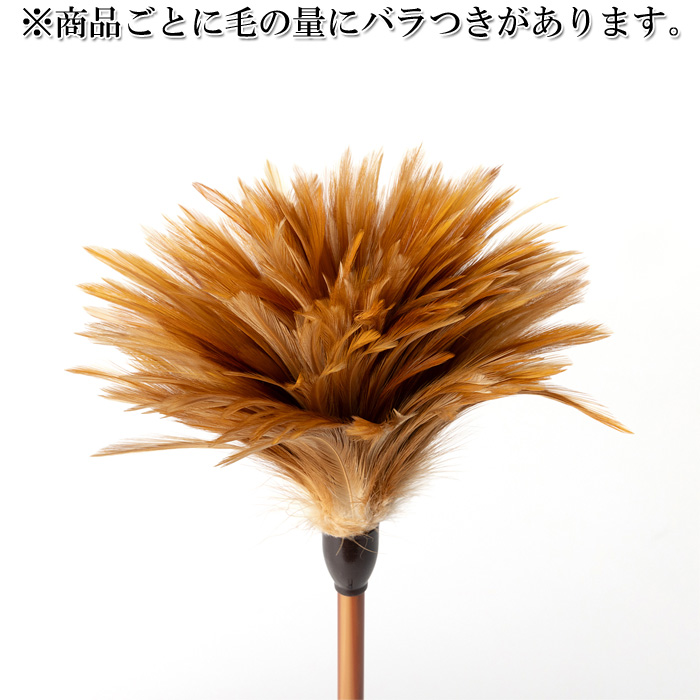 清掃用 毛払い